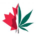Interessante Canadese cannabis aandelen