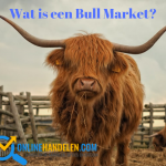 Wat is een Bull Market?